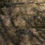image: Image from the photoset &lsquo;rham (iii)&rsquo;.