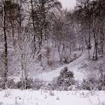image: quiet snow scene