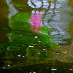 image: Image from the photoset &lsquo;utrecht (v)&rsquo;.