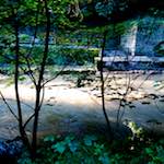 image: Image from the photoset &lsquo;clausen (ii)&rsquo;.