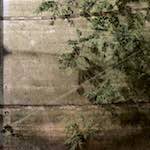 image: Third image of Escher D&eacute;ierepark, from the photoset 'esch&ndash;sur&ndash;alzette (iii)'.