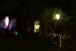 image: Image from the photoset &lsquo;utrecht (x)&rsquo;.