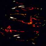 image: Image from the photoset &lsquo;amsterdam (xxv)&rsquo;.