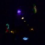 image: Image from the photoset &lsquo;amsterdam (xxvi)&rsquo;.