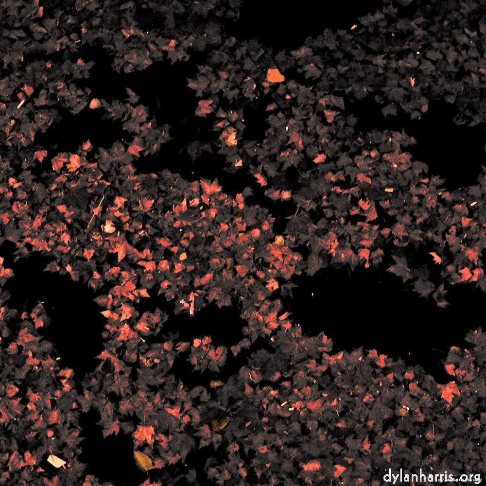 image: This is &lsquo;nuit (ii) 2&rsquo;.