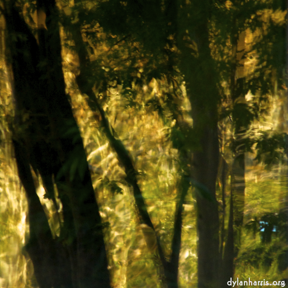 image: This is &lsquo;la d&eacute;fense (x) 6&rsquo;.
