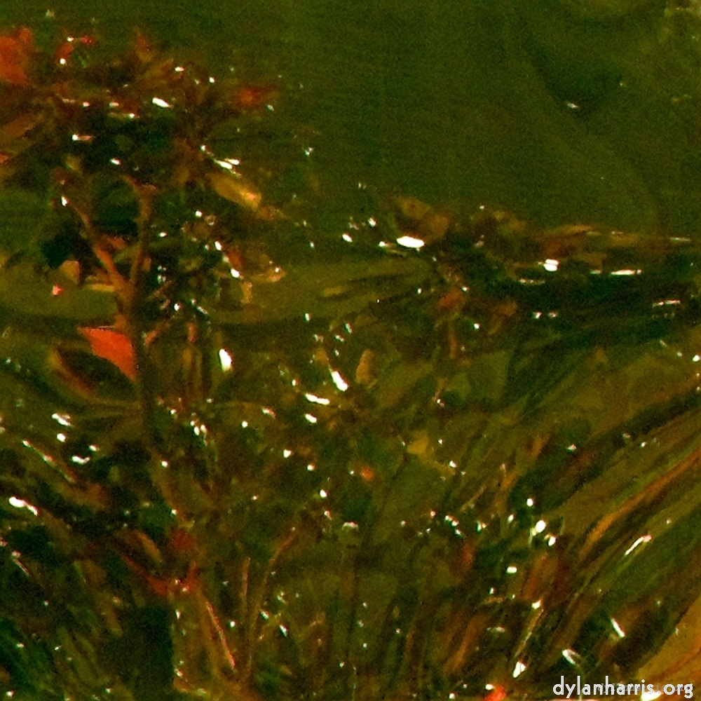 image: This is &lsquo;la d&eacute;fense (xv) 3&rsquo;.