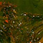 image: Image from the photoset &lsquo;la d&eacute;fense (xv)&rsquo;.