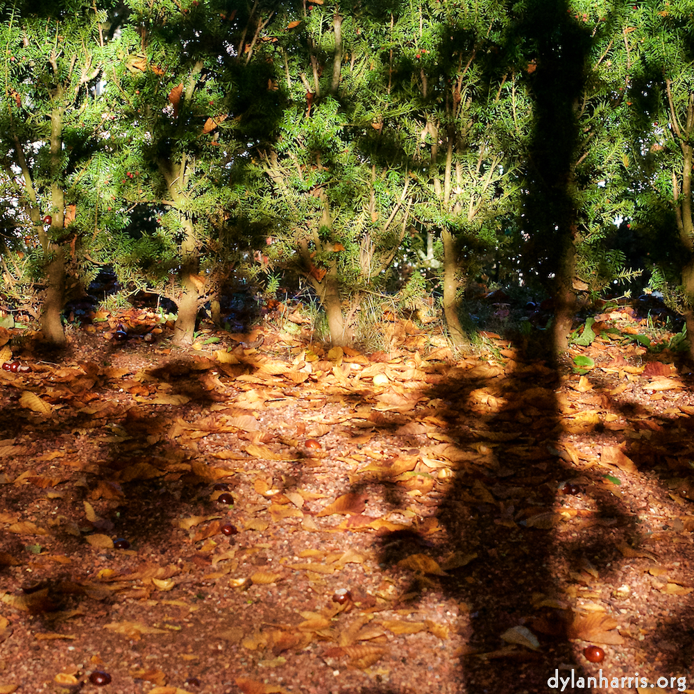 image: This is &lsquo;autumn (iv) 1&rsquo;.