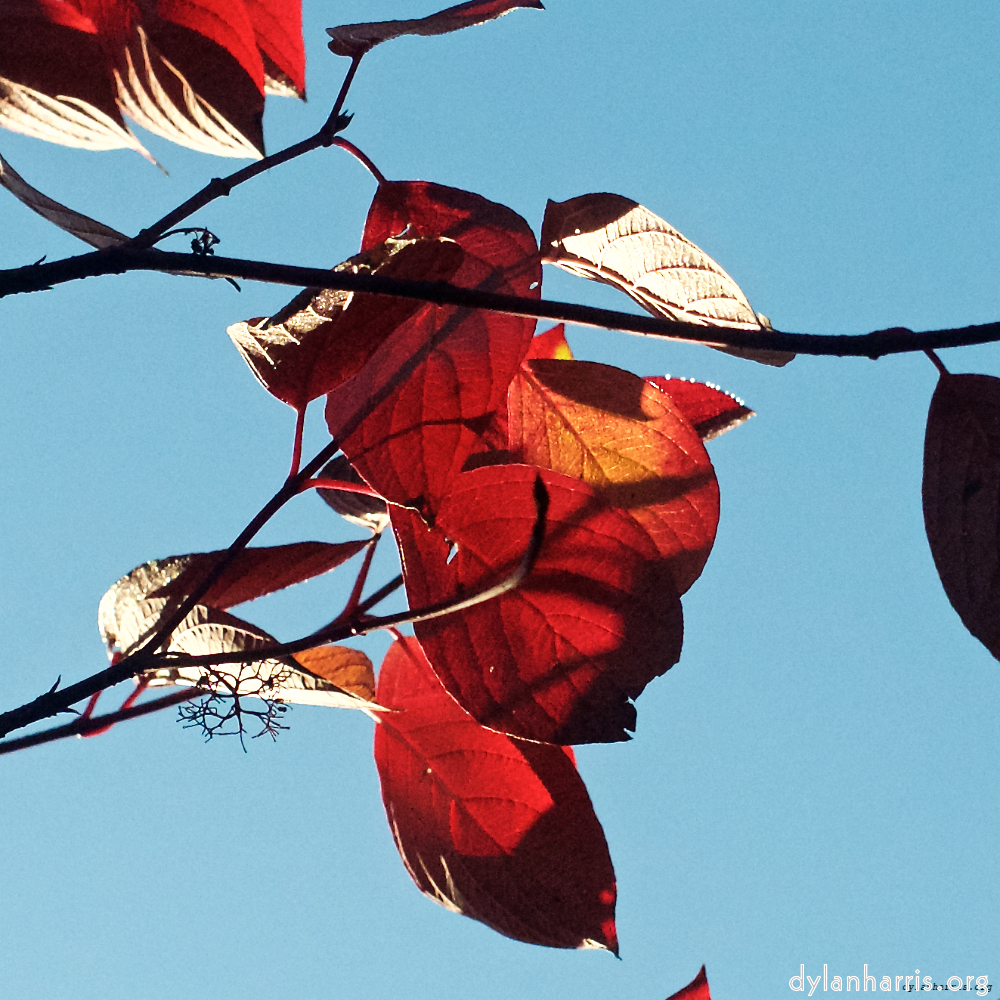 image: This is &lsquo;autumn (iv) 2&rsquo;.