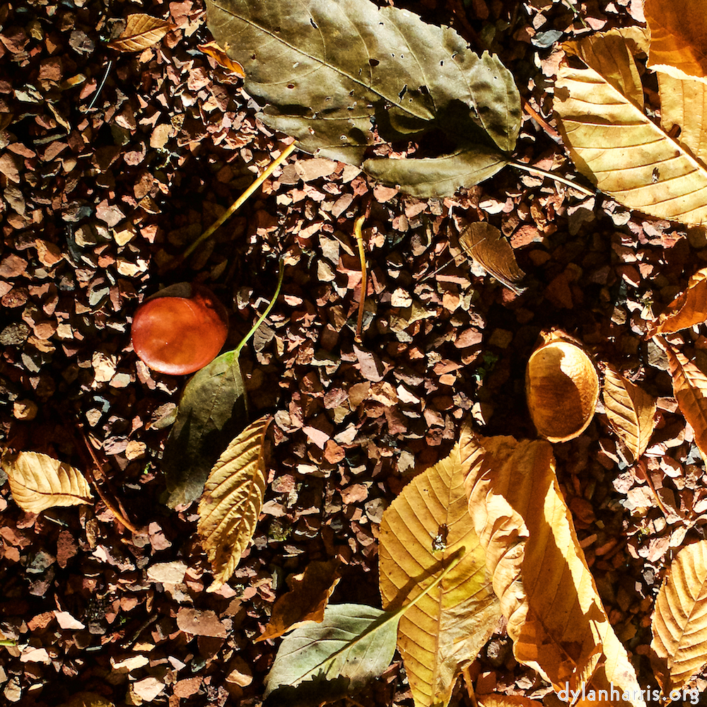 image: This is &lsquo;autumn (iv) 4&rsquo;.