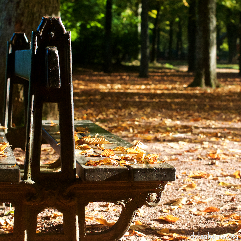 image: This is &lsquo;autumn (iv) 5&rsquo;.
