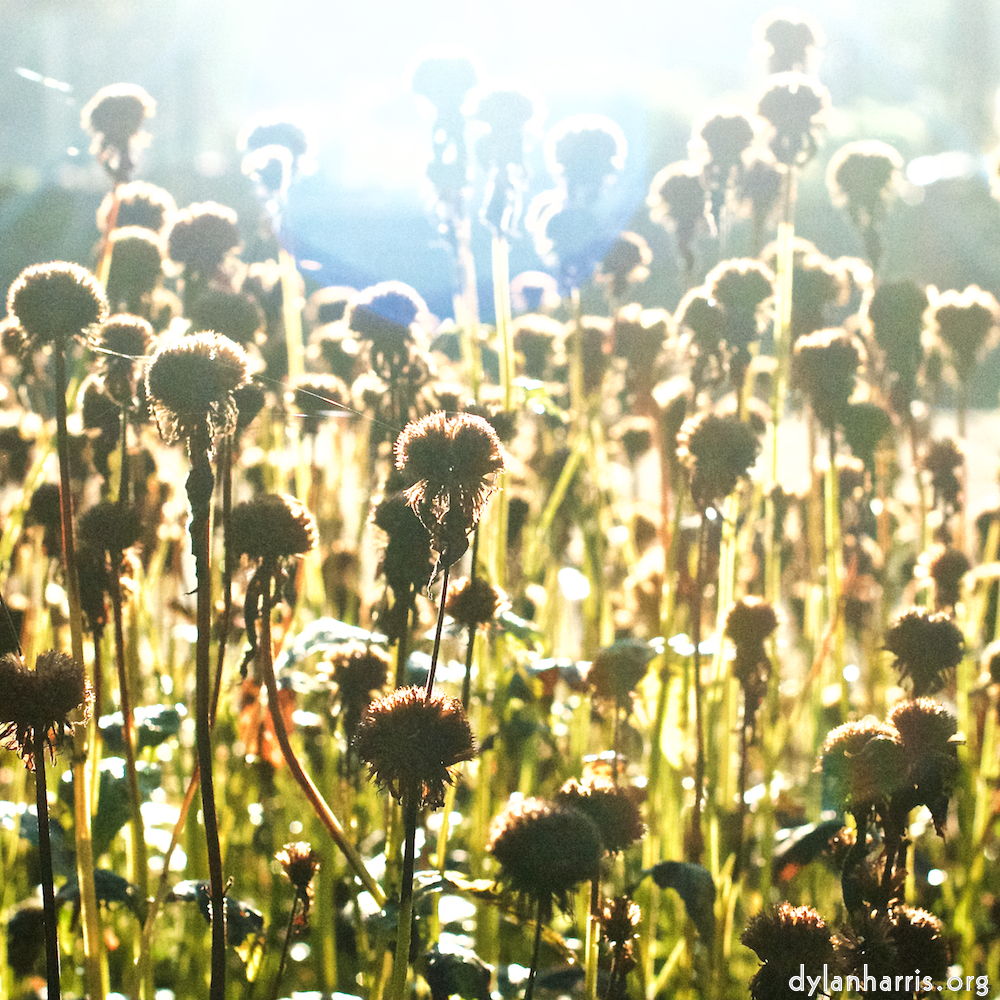 image: This is &lsquo;autumn (iv) 6&rsquo;.