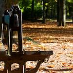 image: Image from the photoset &lsquo;autumn (iv)&rsquo;.