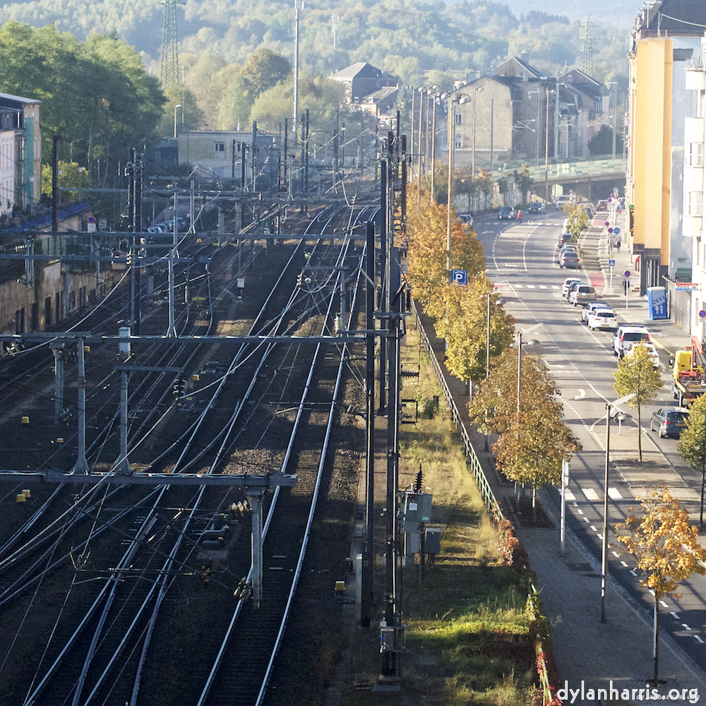 image: Image 'esch&ndash;sur&ndash;alzette (vi) 2', at Escher D&eacute;ierepark, head and torso of a doe.