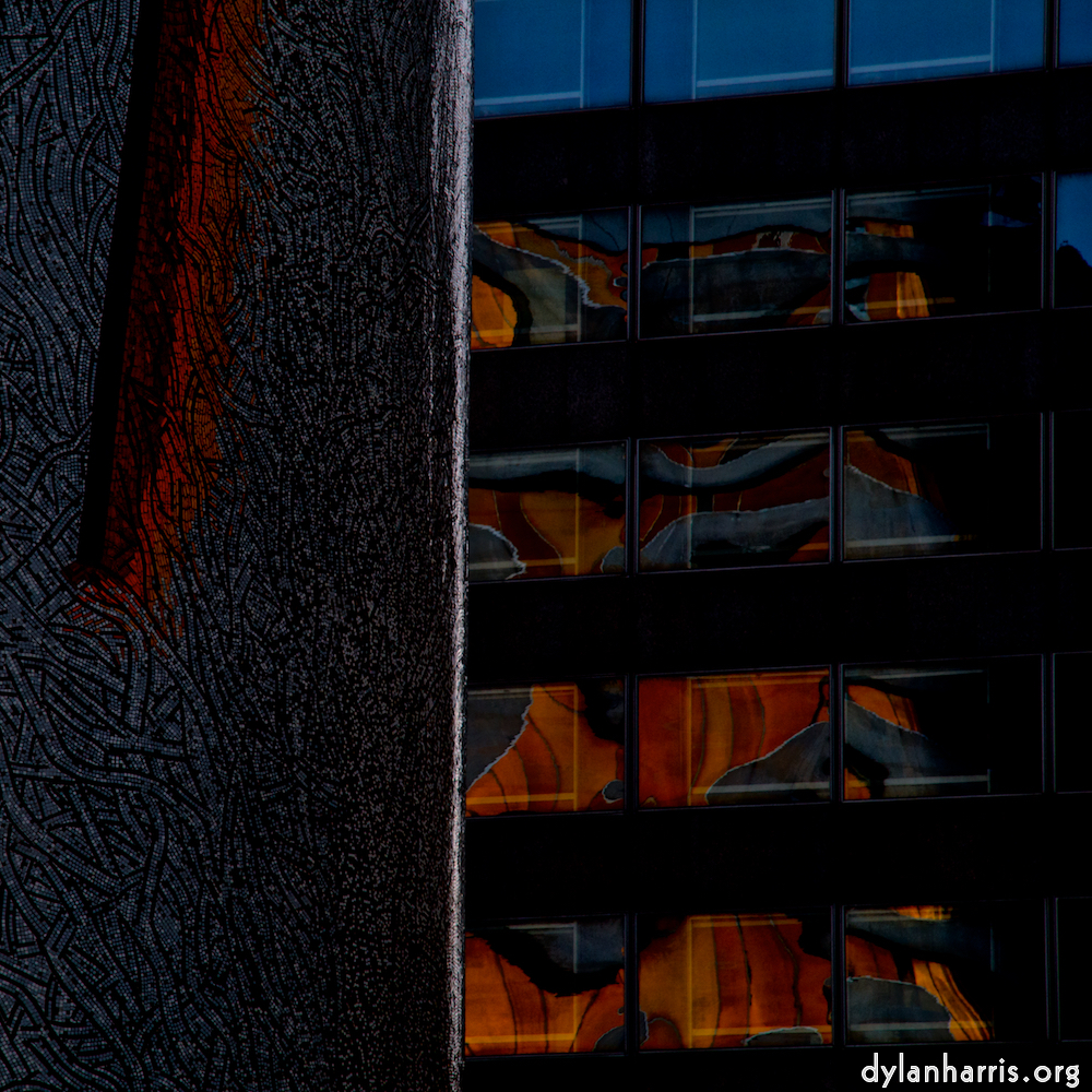 image: an image