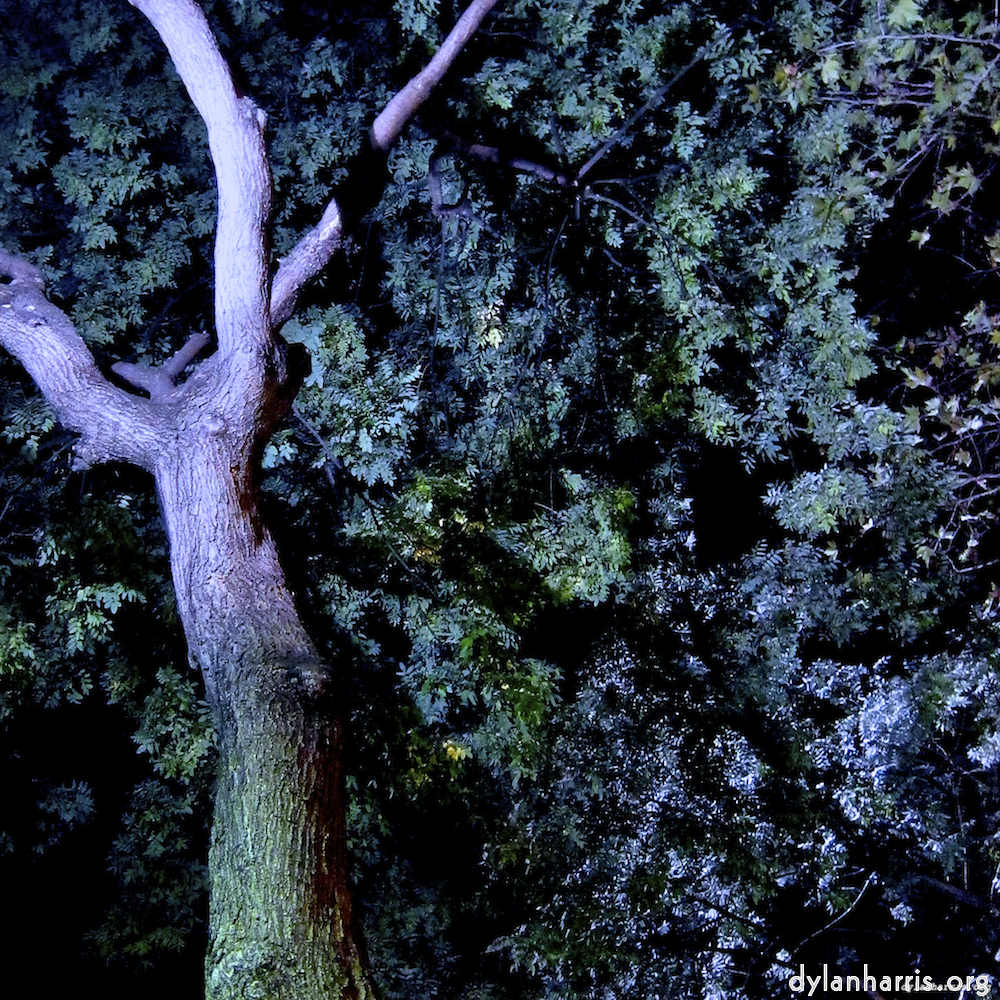 image: This is &lsquo;nuit (iii) 2&rsquo;.