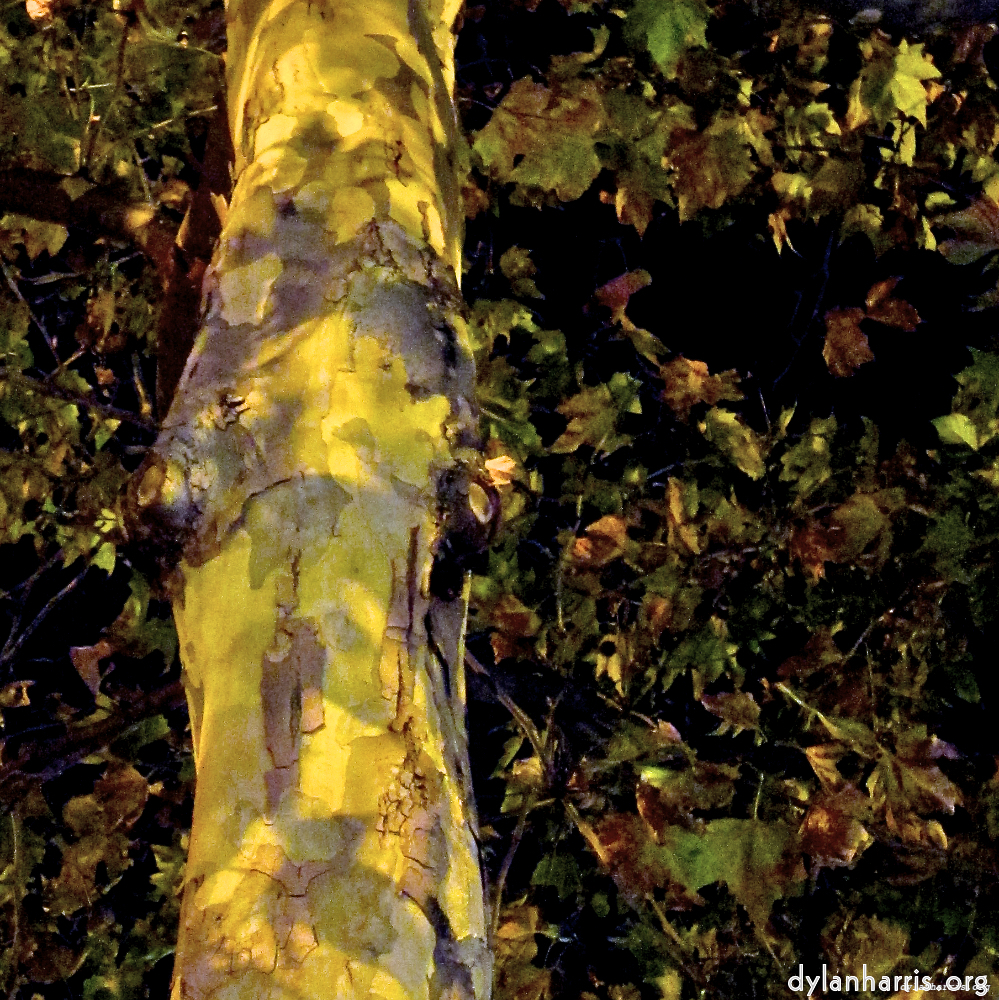 image: This is &lsquo;paris (vi) 5&rsquo;.