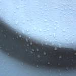 image: Image from the photoset &lsquo;elephant (vii)&rsquo;.