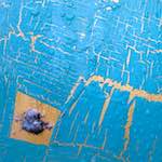 image: Image from the photoset &lsquo;elephant (vii)&rsquo;.