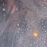 image: Image from the photoset &lsquo;elephant (vii)&rsquo;.