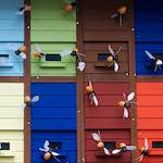 image: Image from the photoset &lsquo;esch&ndash;sur&ndash;alzette (xi)&rsquo;.