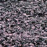 image: Image from the photoset &lsquo;veianen (i)&rsquo;.