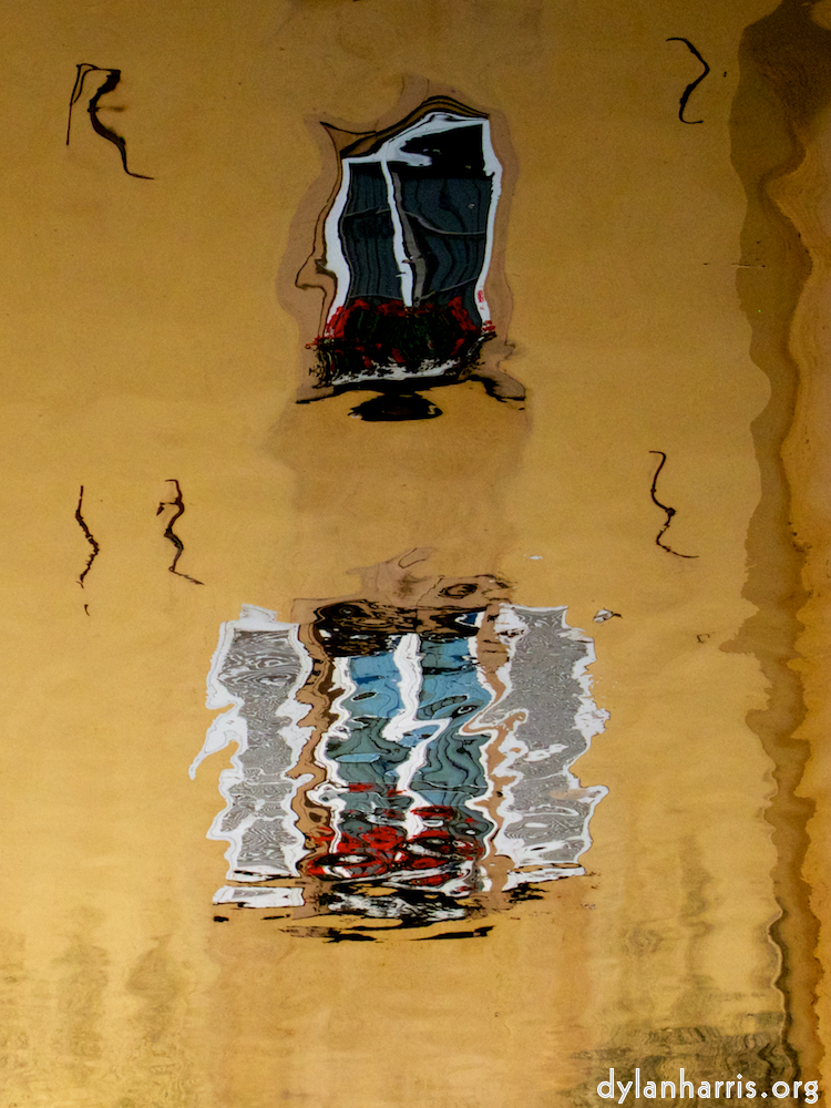image: an image