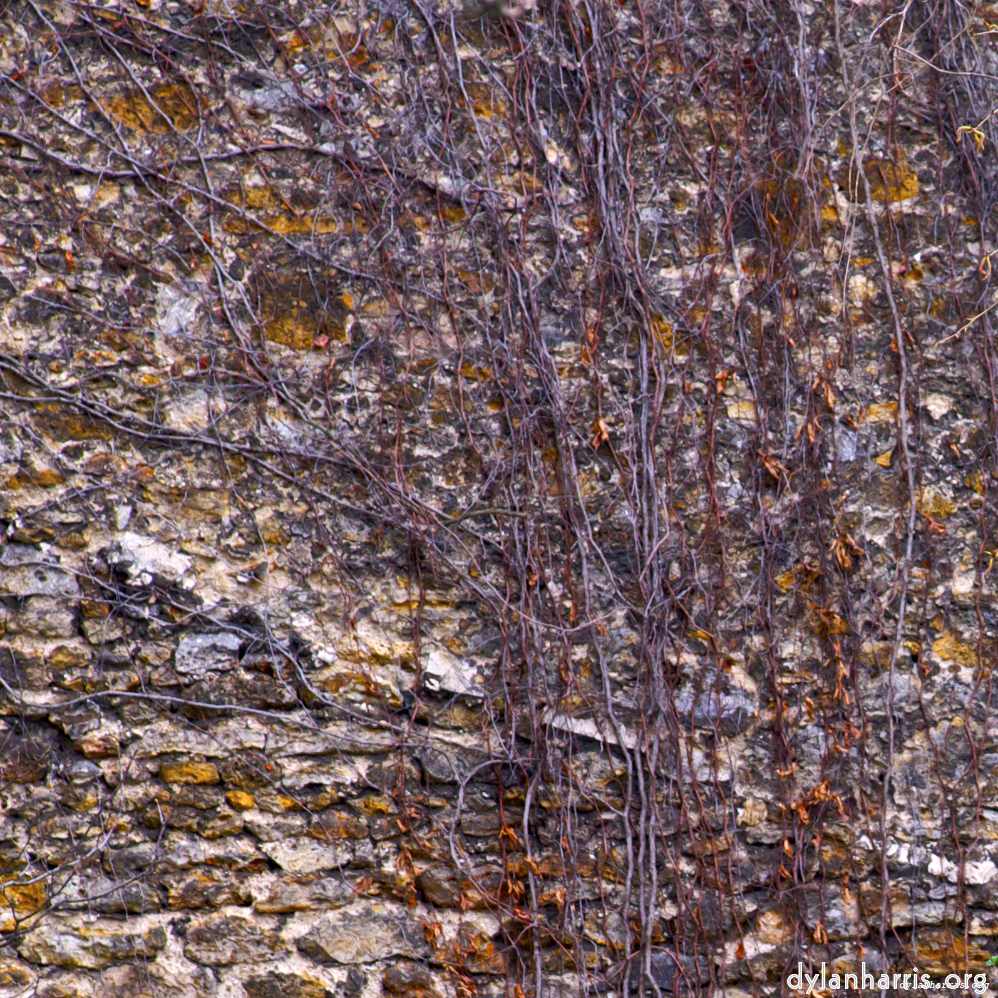 image: This is &lsquo;montmartre (ii) 6&rsquo;.