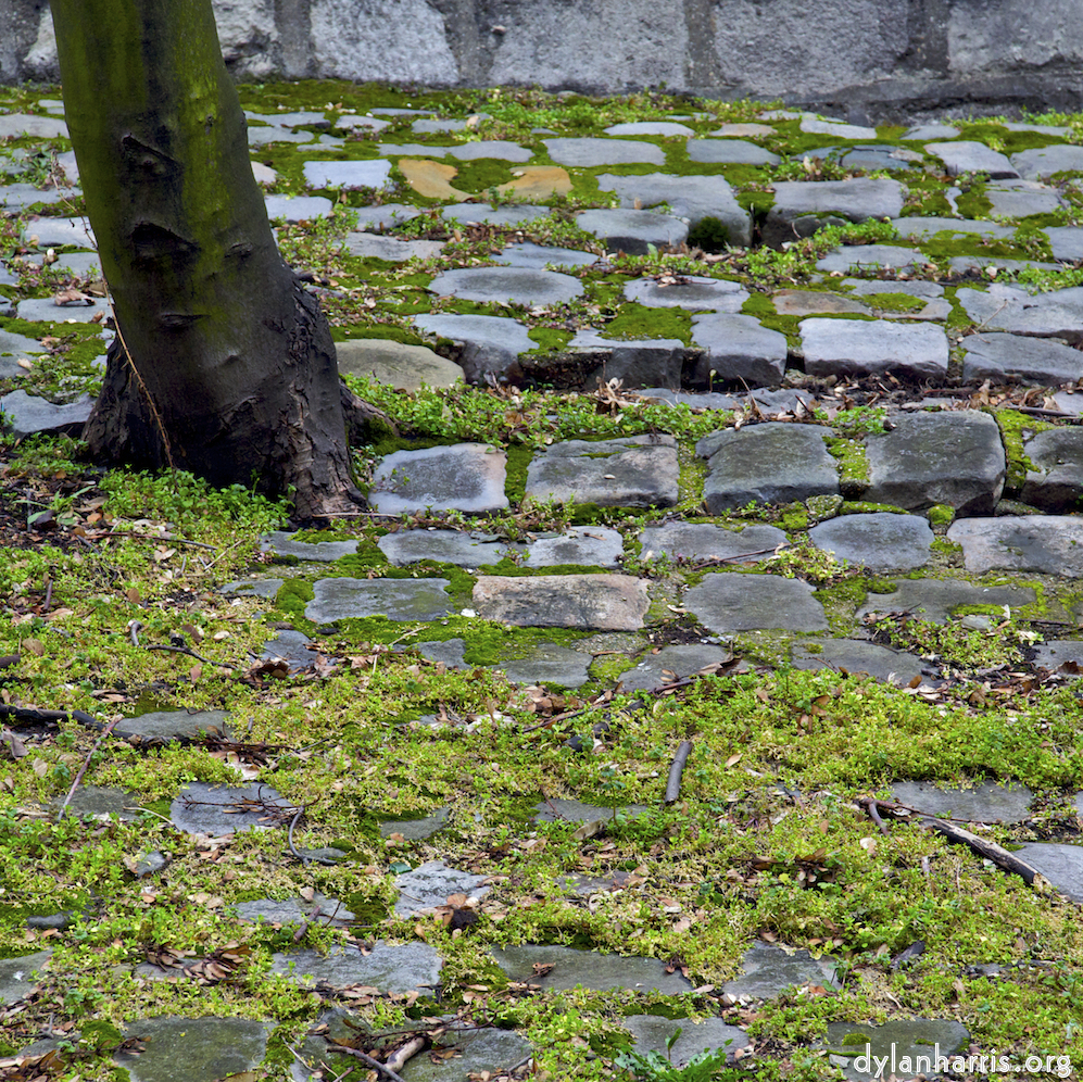 image: This is &lsquo;montmartre (ii) 8&rsquo;.