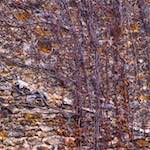 image: Image from the photoset &lsquo;montmartre (ii)&rsquo;.