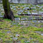 image: Image from the photoset &lsquo;montmartre (ii)&rsquo;.