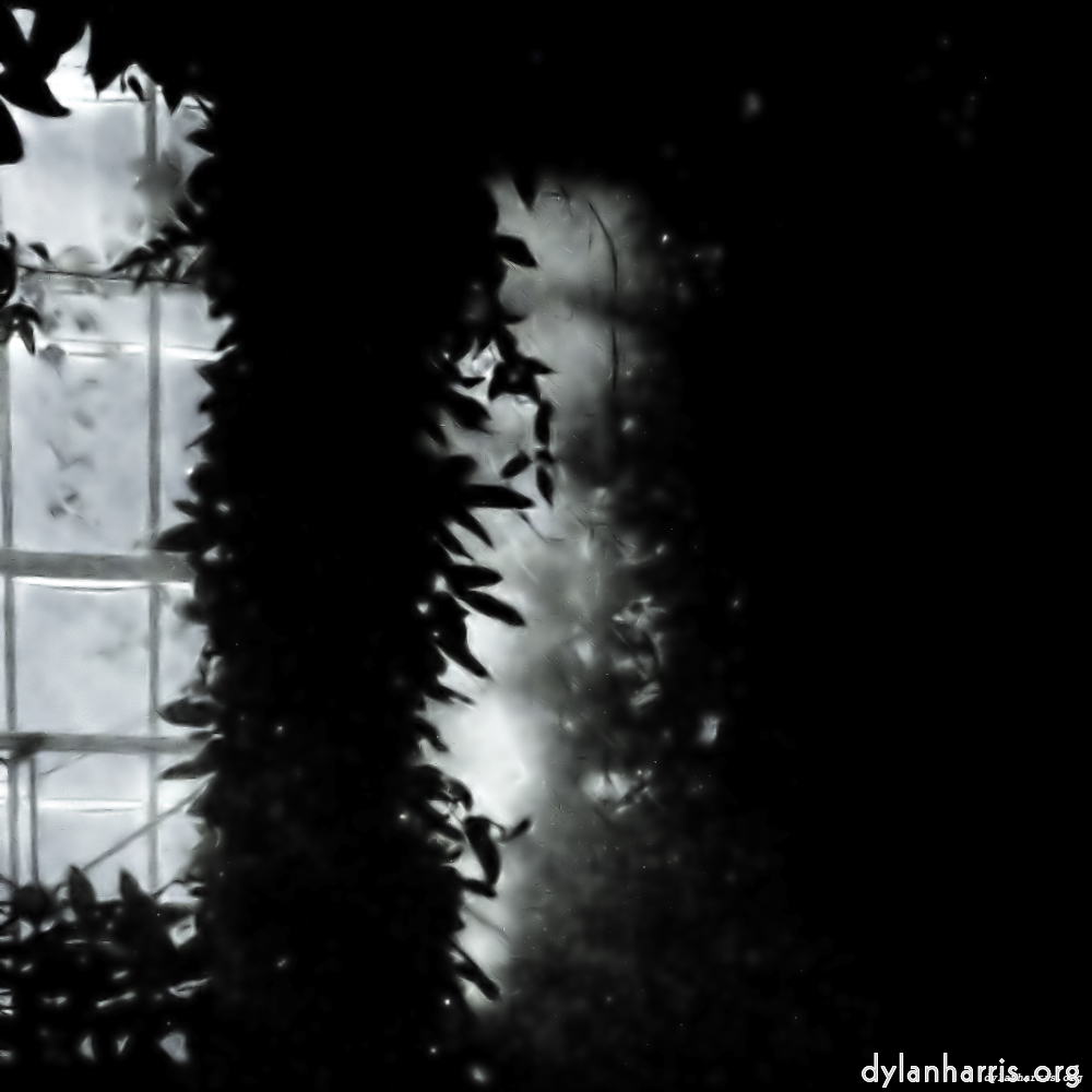 image: This is &lsquo;dublin (x) 2&rsquo;.
