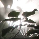 image: Image from the photoset &lsquo;dublin (x)&rsquo;.