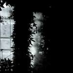 image: Image from the photoset &lsquo;dublin (x)&rsquo;.