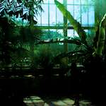 image: Image from the photoset &lsquo;dublin (x)&rsquo;.