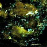 image: Image from the photoset &lsquo;dublin (x)&rsquo;.