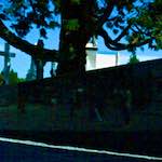 image: Image from the photoset &lsquo;dublin (x)&rsquo;.