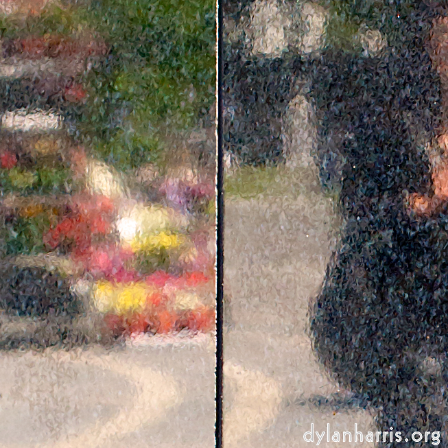 image: an image