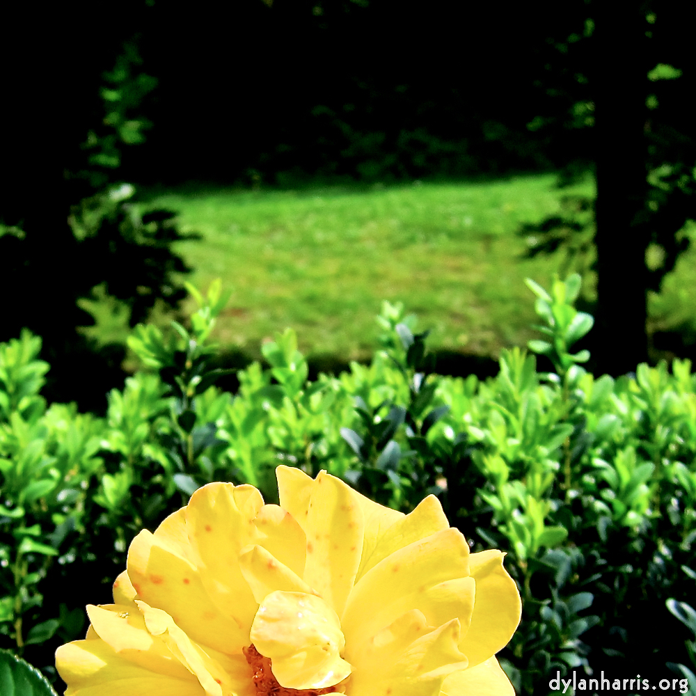 image: This is &lsquo;parc (xx) 1&rsquo;.