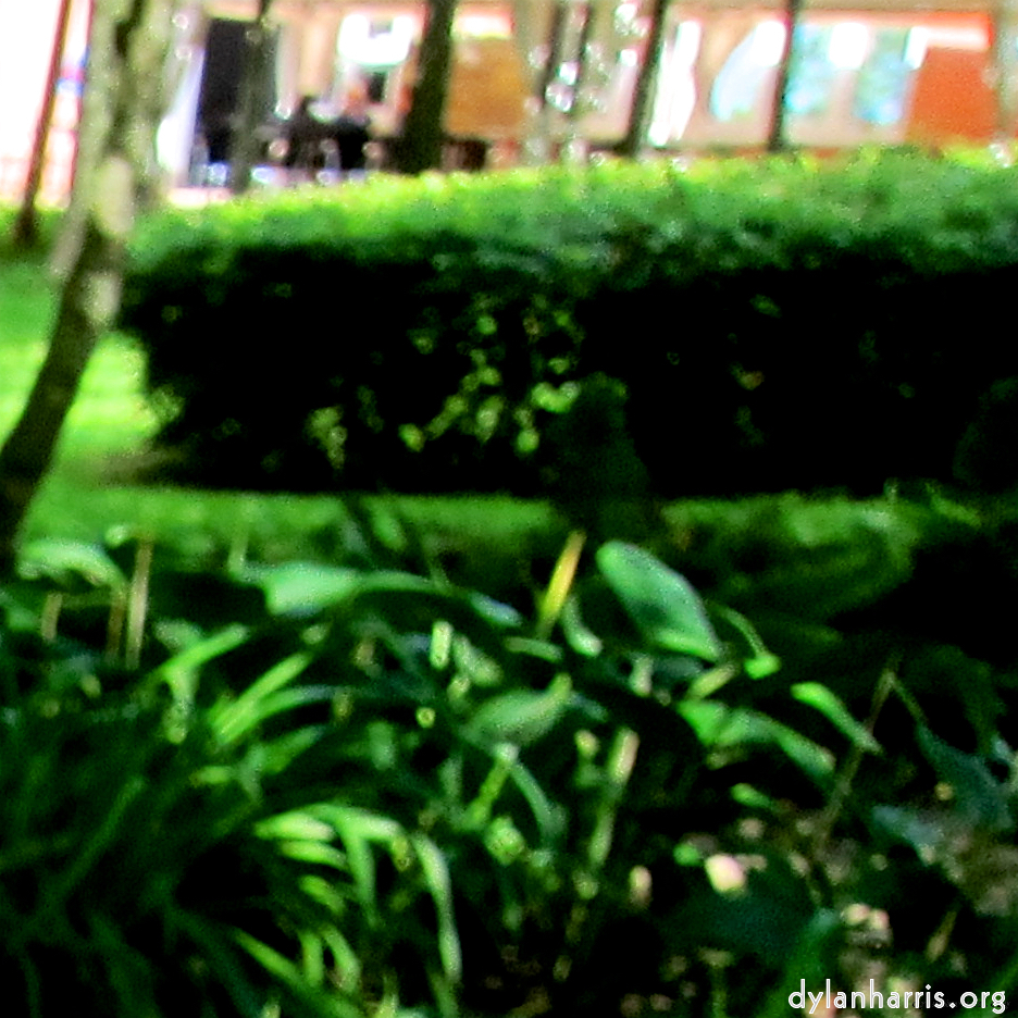 image: This is &lsquo;parc (xx) 2&rsquo;.