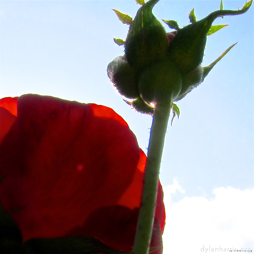 image: This is &lsquo;parc (xx) 4&rsquo;.