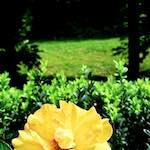 image: Image from the photoset &lsquo;parc (xx)&rsquo;.