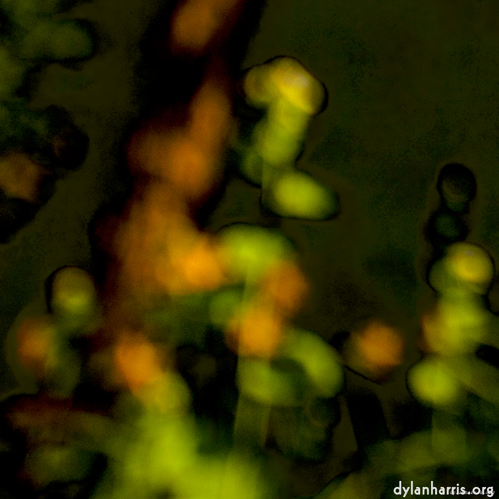image: This is &lsquo;parc (xxvi) 1&rsquo;.