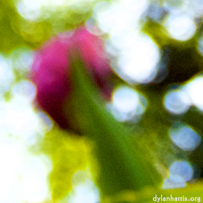 image: This is &lsquo;parc (xxvi) 2&rsquo;.