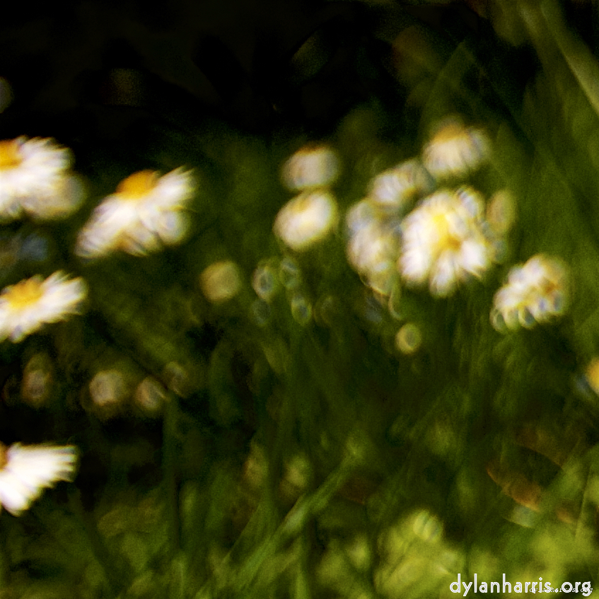 image: This is &lsquo;parc (xxvi) 3&rsquo;.