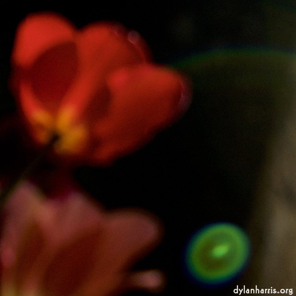 image: This is &lsquo;parc (xxvii) 1&rsquo;.
