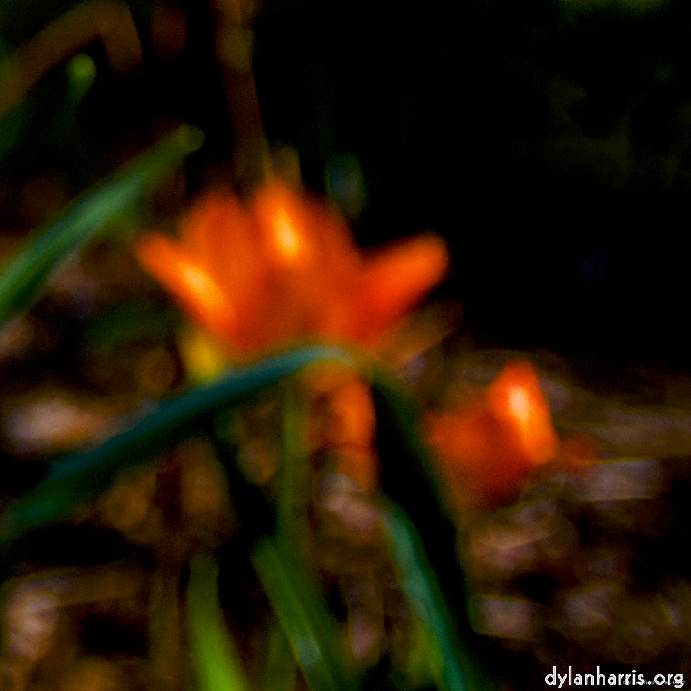 image: This is &lsquo;parc (xxvii) 3&rsquo;.
