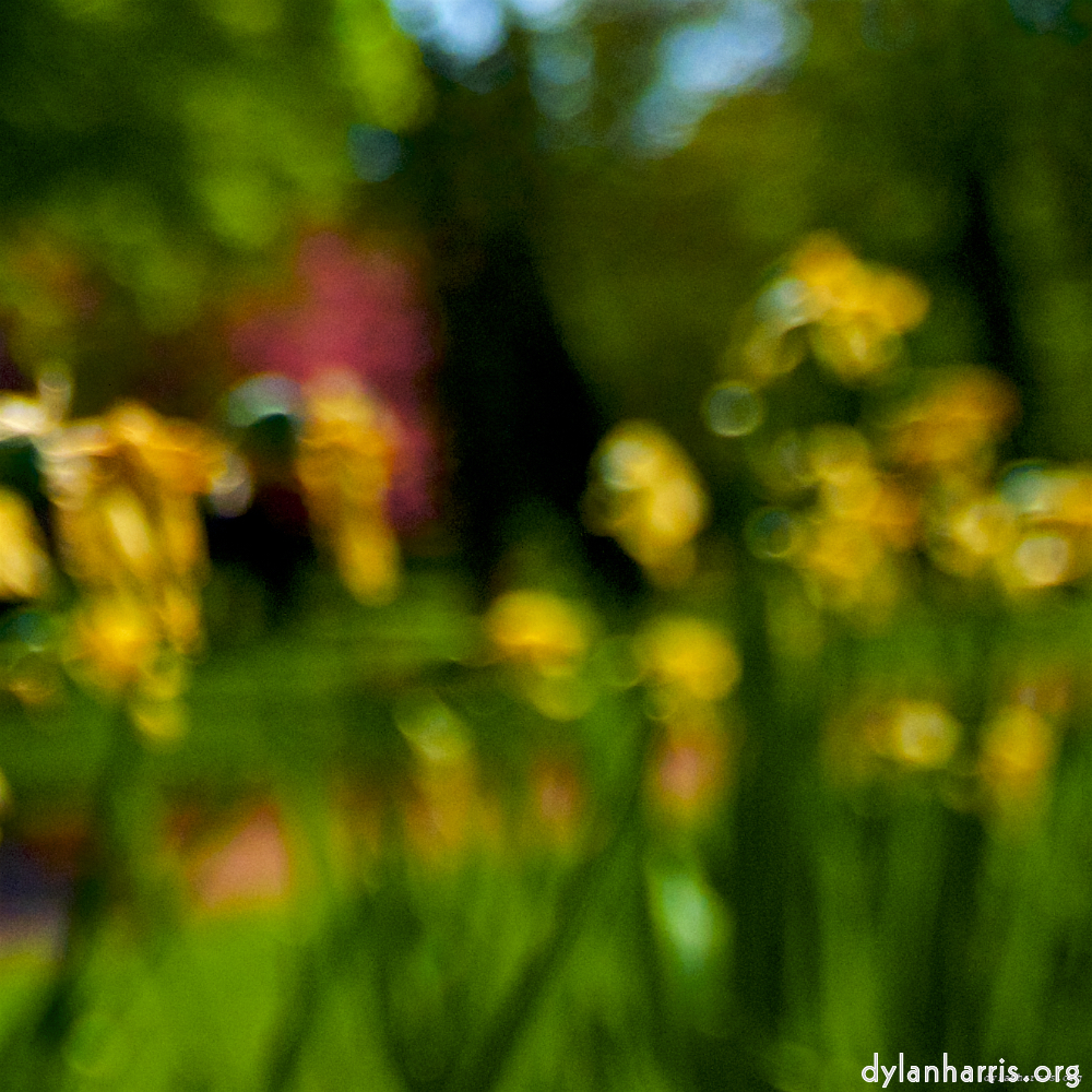 image: This is &lsquo;parc (xxviii) 1&rsquo;.