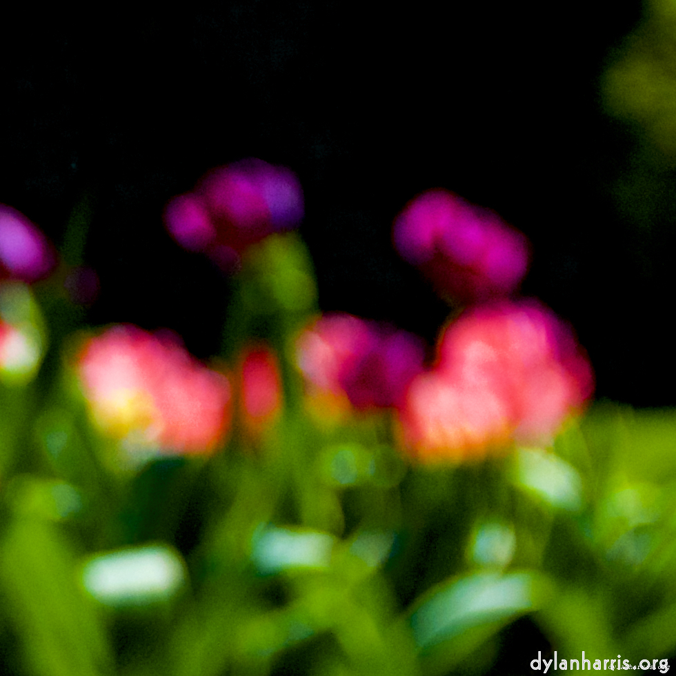 image: This is &lsquo;parc (xxviii) 3&rsquo;.